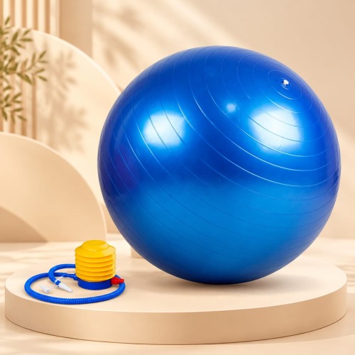 Gymnastics Ball / Exercise Fitness Ball-65cm