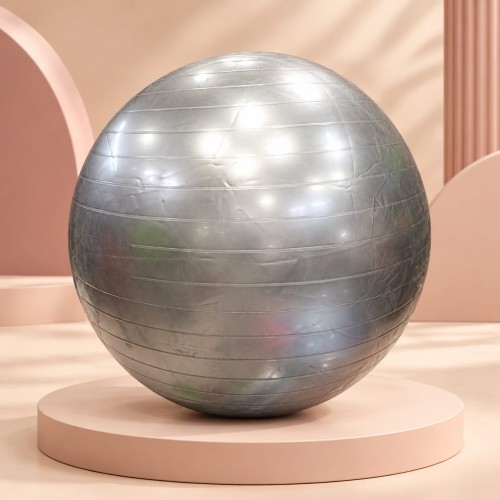 Gymnastics Ball / Exercise Fitness Ball-65cm