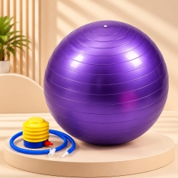 Gymnastics Ball / Exercise Fitness Ball-65cm